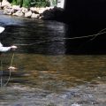 Along the Estes Park Riverwalk