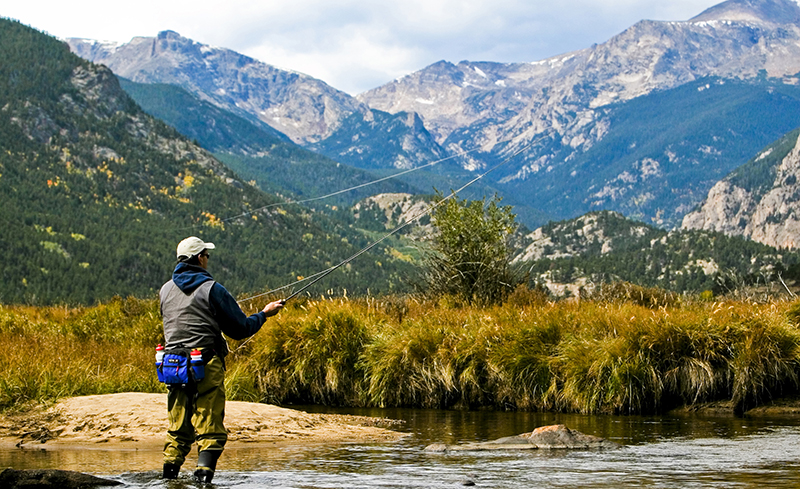 Guided Fly Fishing, Estes Park